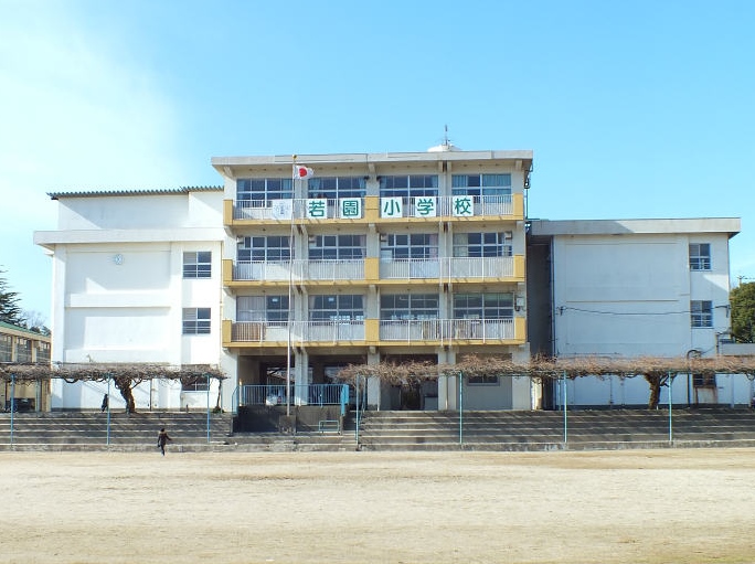 フラーリッシュ若園B棟  小学校