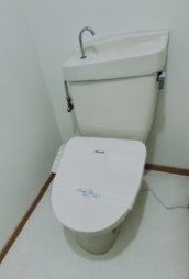 シェーネルボーネン トイレ