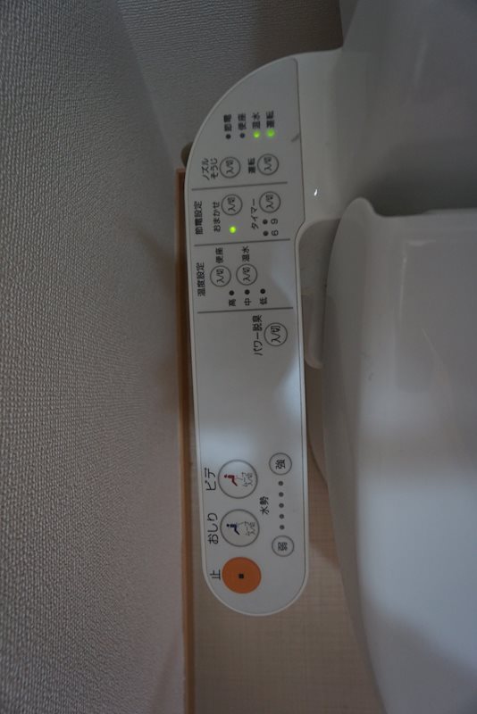 GRAVIS  その他