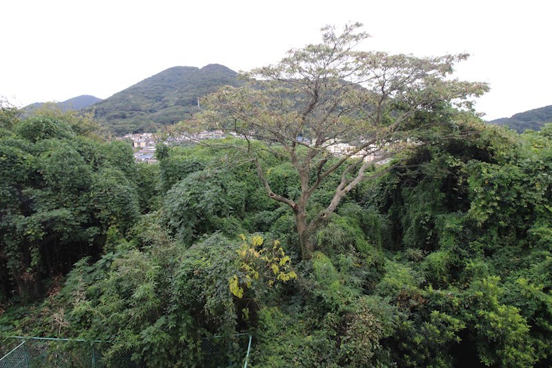 上二十町スカイマンション  眺望