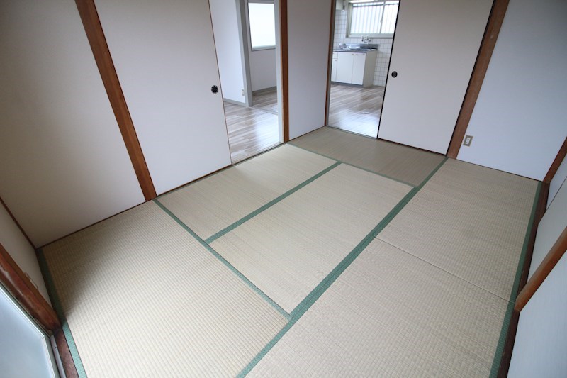 sini lintu  その他
