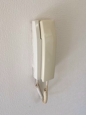 メゾンドプラムⅡ セキュリティ