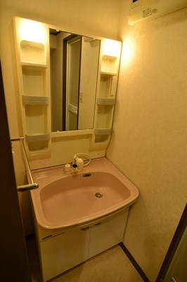 アヌビアス紫川   洗面所