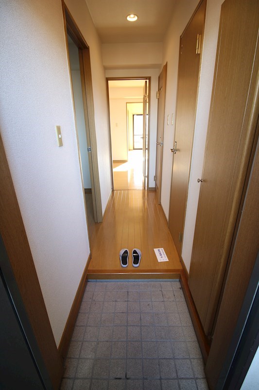 ソフィア   その他