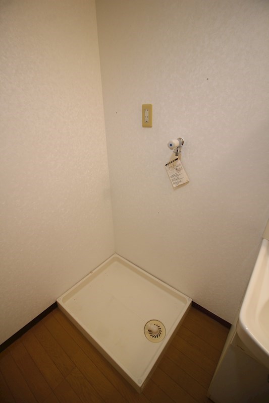 ソフィア   その他