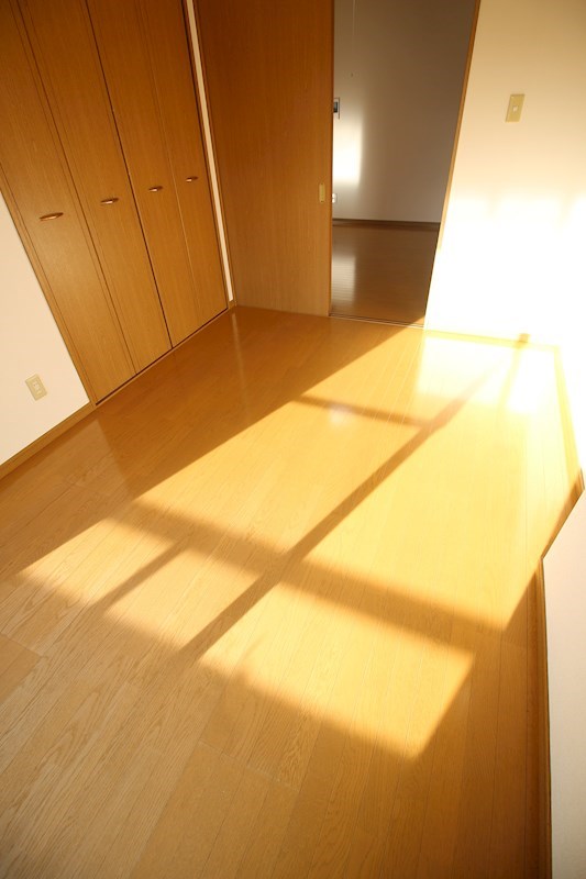 ソフィア   その他