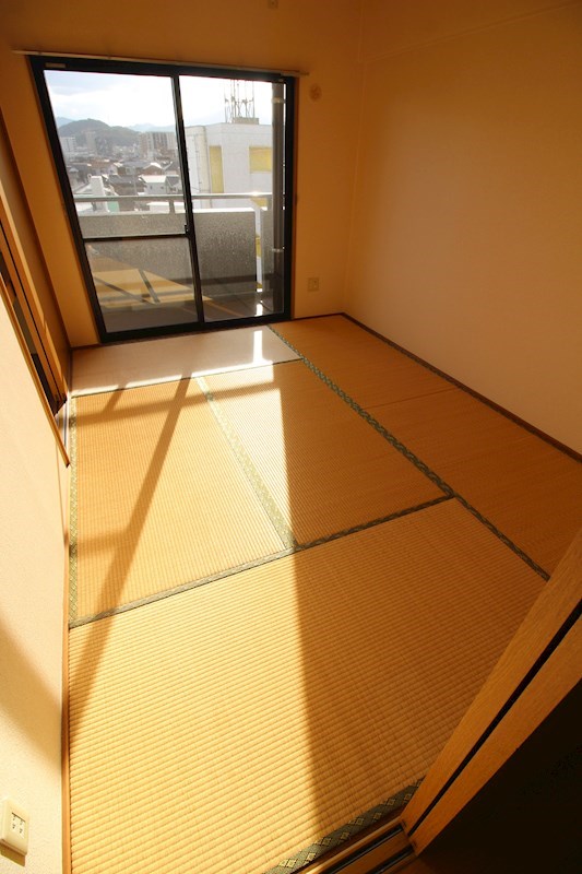 ソフィア   その他