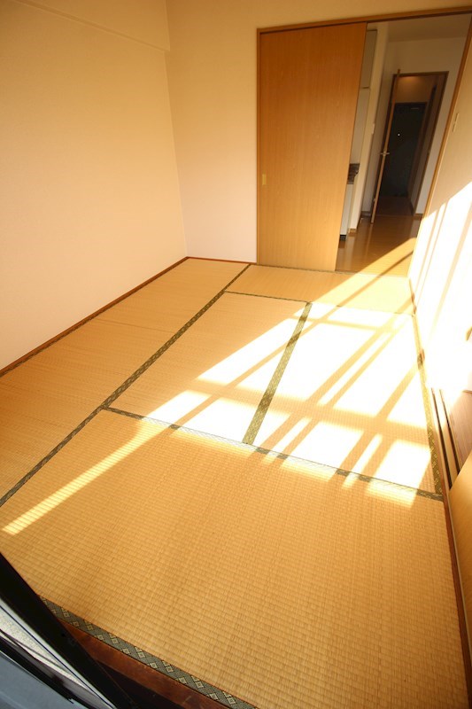 ソフィア   その他