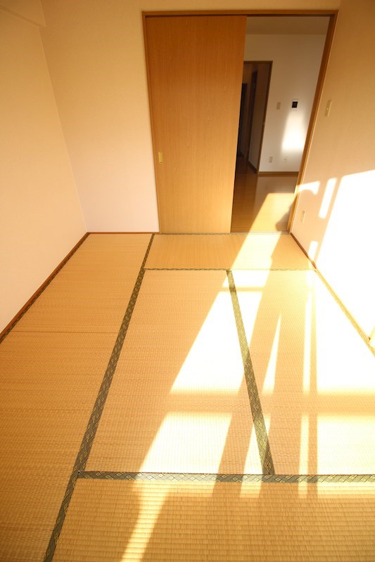 ソフィア   その他
