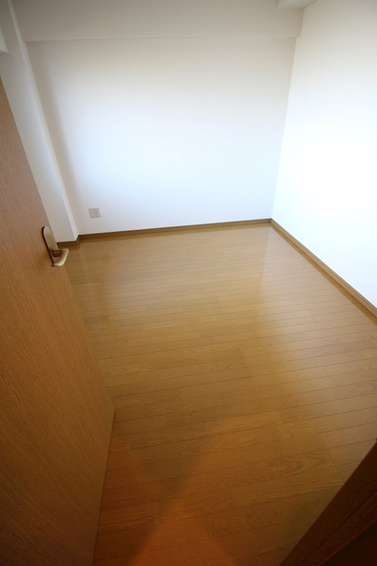 ソフィア   その他