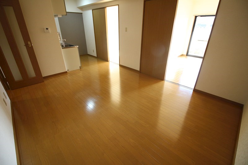 ソフィア   その他