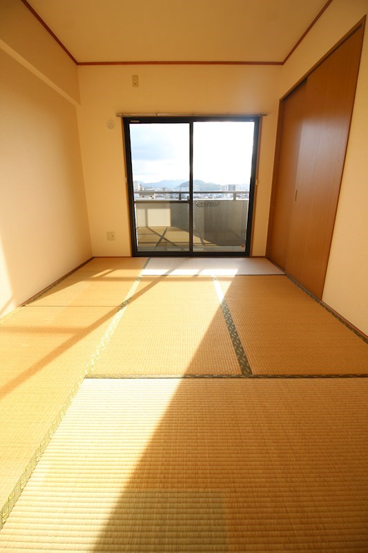 ソフィア   その他