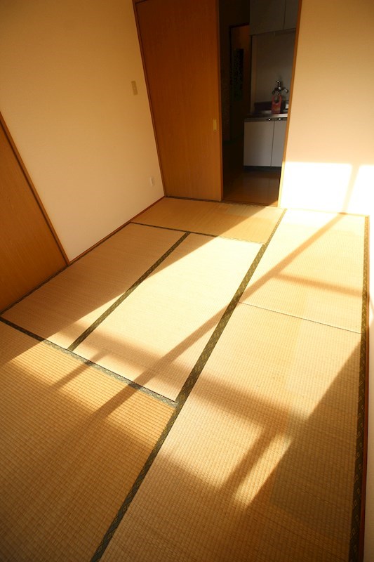 ソフィア   その他