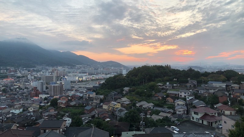 グリーンスポット  その他