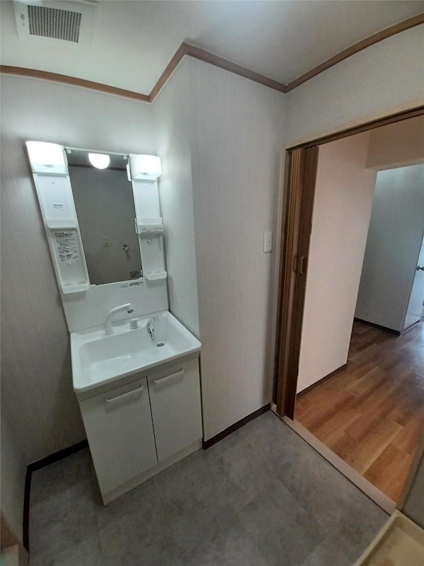 タニガシラハイツ 洗面所