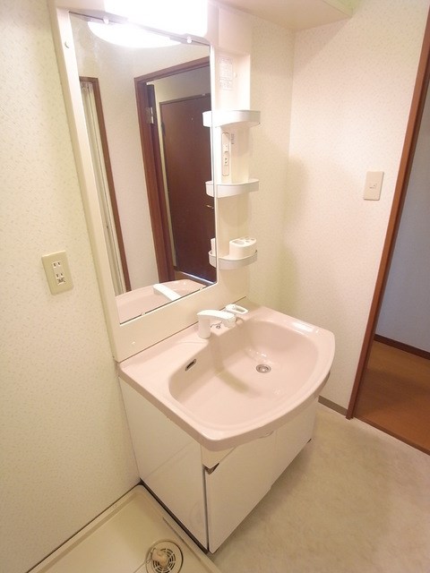 リバージュ中井 洗面所