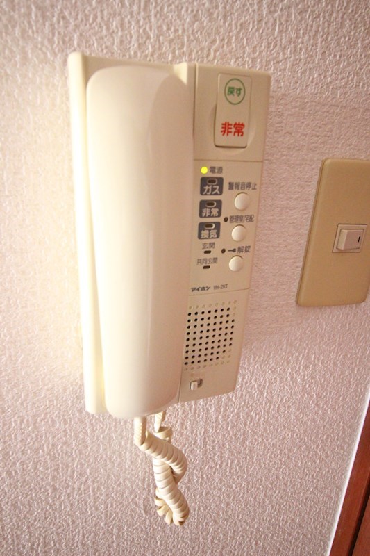 アーリントン    セキュリティ