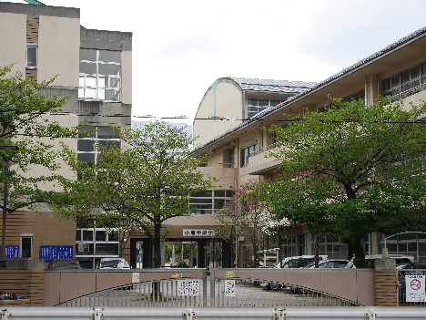 アーリントン    小学校