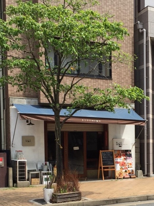 アンジェロポストⅦ  レストラン