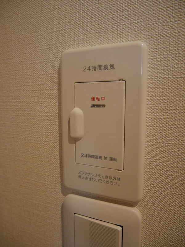 コッツウォルズ・マサ その他