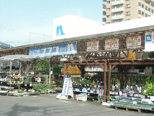 今浪マンション  ホームセンター