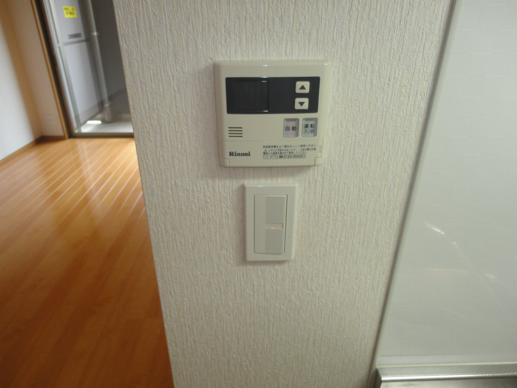 フェルト515 その他