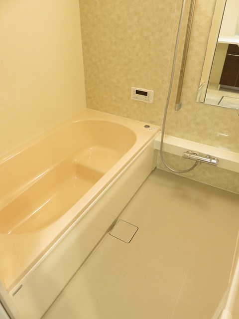 Ｄ-room泉台 A棟 風呂画像