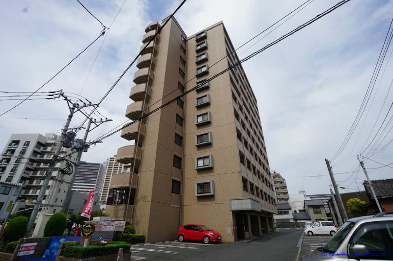 クルーズ・グラン・セレスト    その他