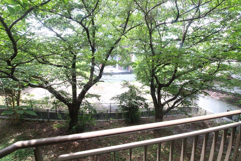 RAY霧ヶ丘桜マンション 眺望