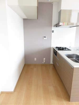 レジナスイート田町 その他