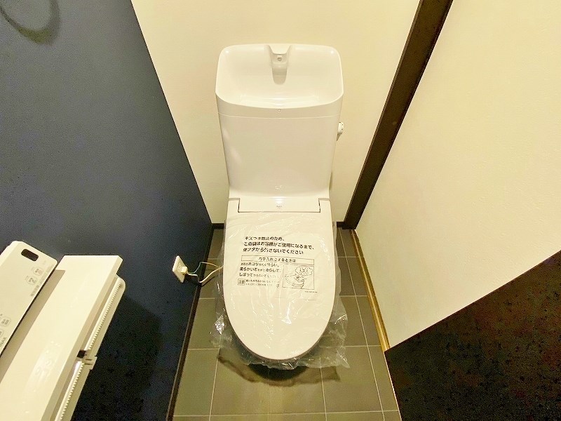 ガレッシア385  その他