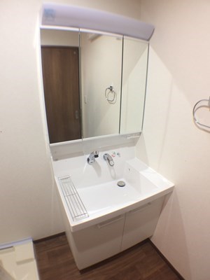 さくらビレッジⅡ 洗面所