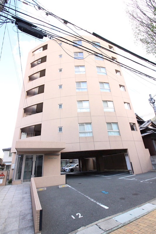 ヤナギサイト  その他