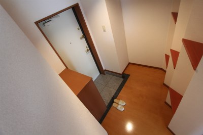 ヤナギサイト  その他