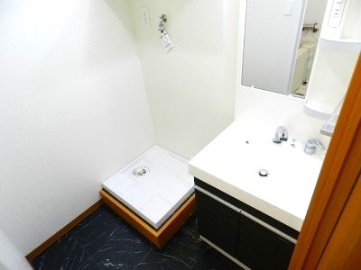 アヴィニールグランデ金田 洗面所