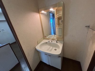 アメニティ藤松 洗面所