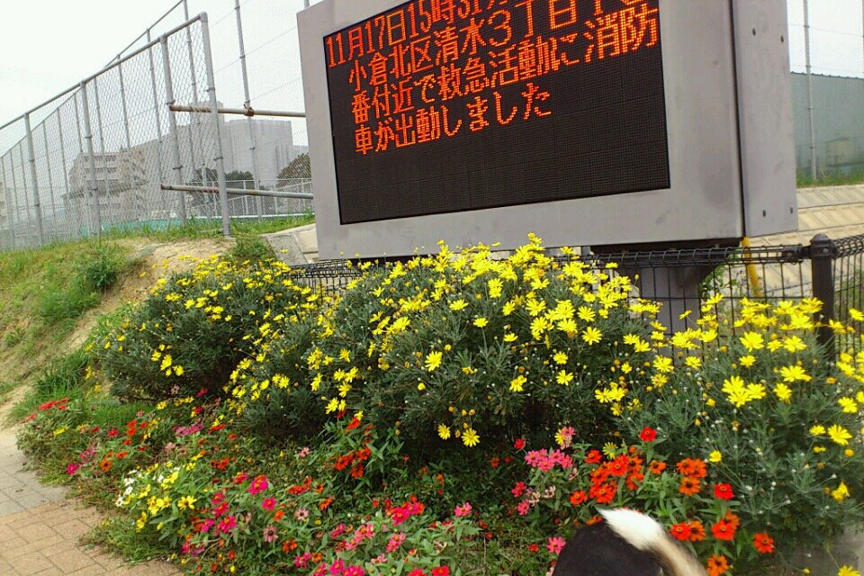THE SQUARE・Club Residence  公共施設