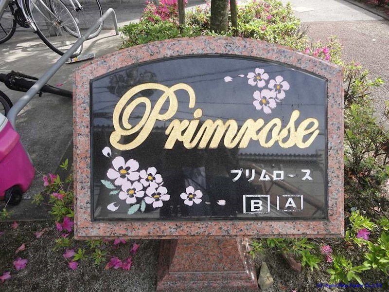 プリムローズ  その他