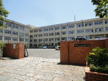 il Palazzo del Sole 高校・高専