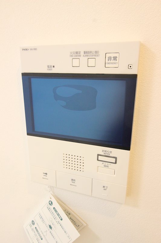 エルザグランツ黄金 セキュリティ