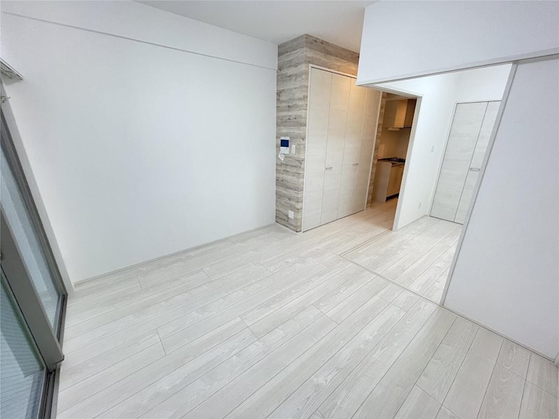 エルザグランツ黄金 その他