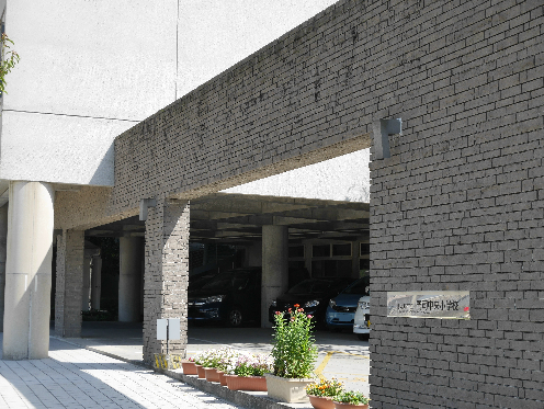 kawayabuild 小学校