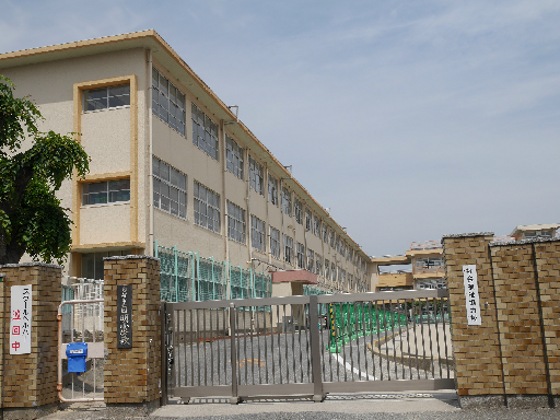 高峰ポロニア  小学校