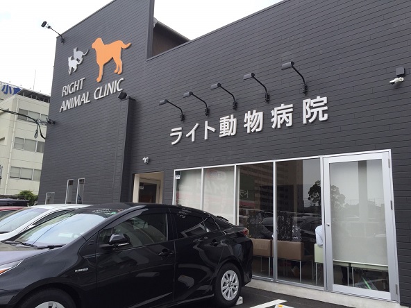 GRACEFUL中井   その他
