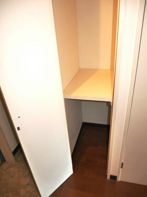 ラフィナーレアースコート魚町  収納