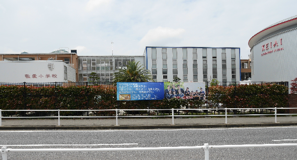 テイアイ　NO.3   小学校