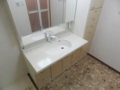ウェルス守恒 洗面所