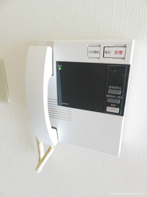 オールセインツ    セキュリティ