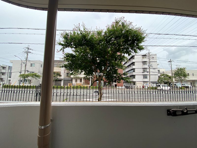 グレースダイン 眺望