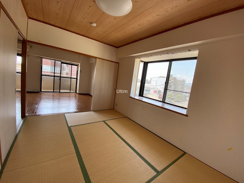 グレースダイン その他